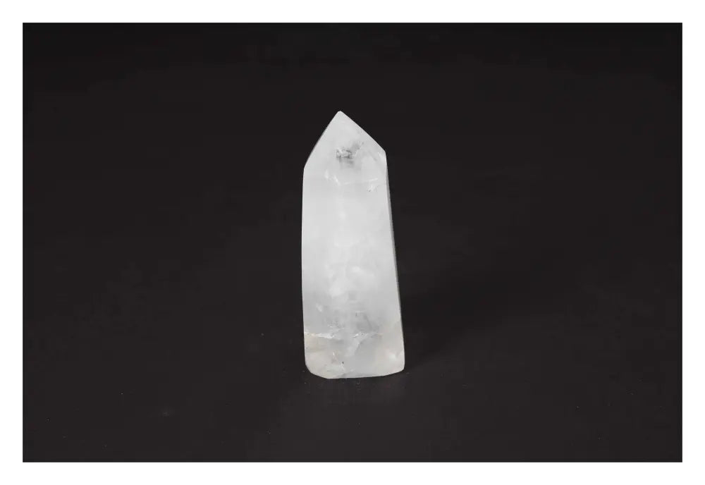 orbitvu|type:image2d