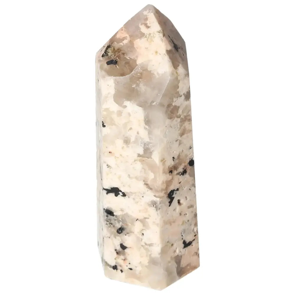 orbitvu|type:image2d