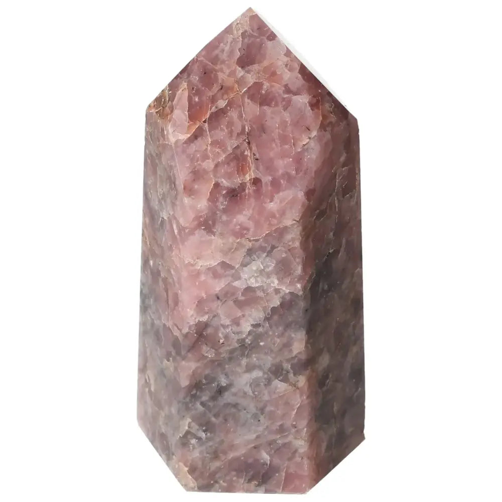 orbitvu|type:image2d