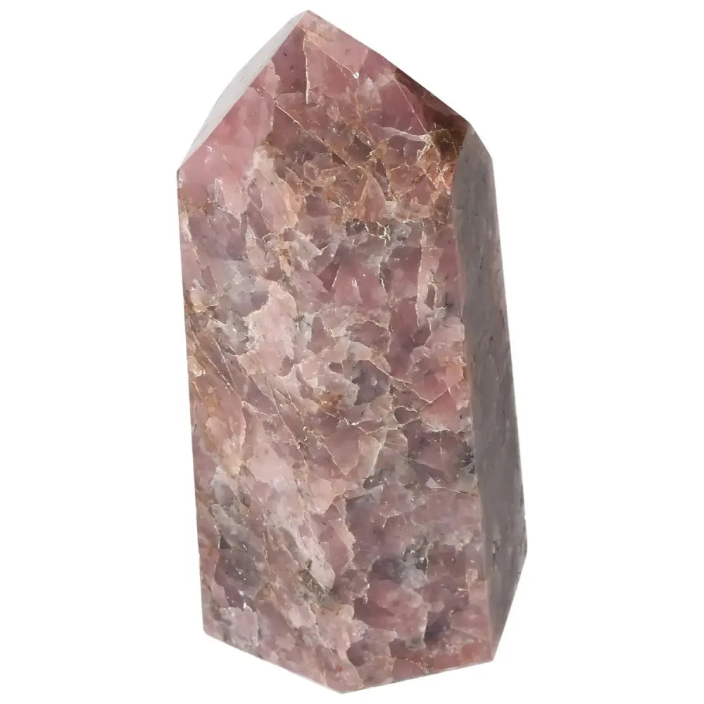 orbitvu|type:image2d