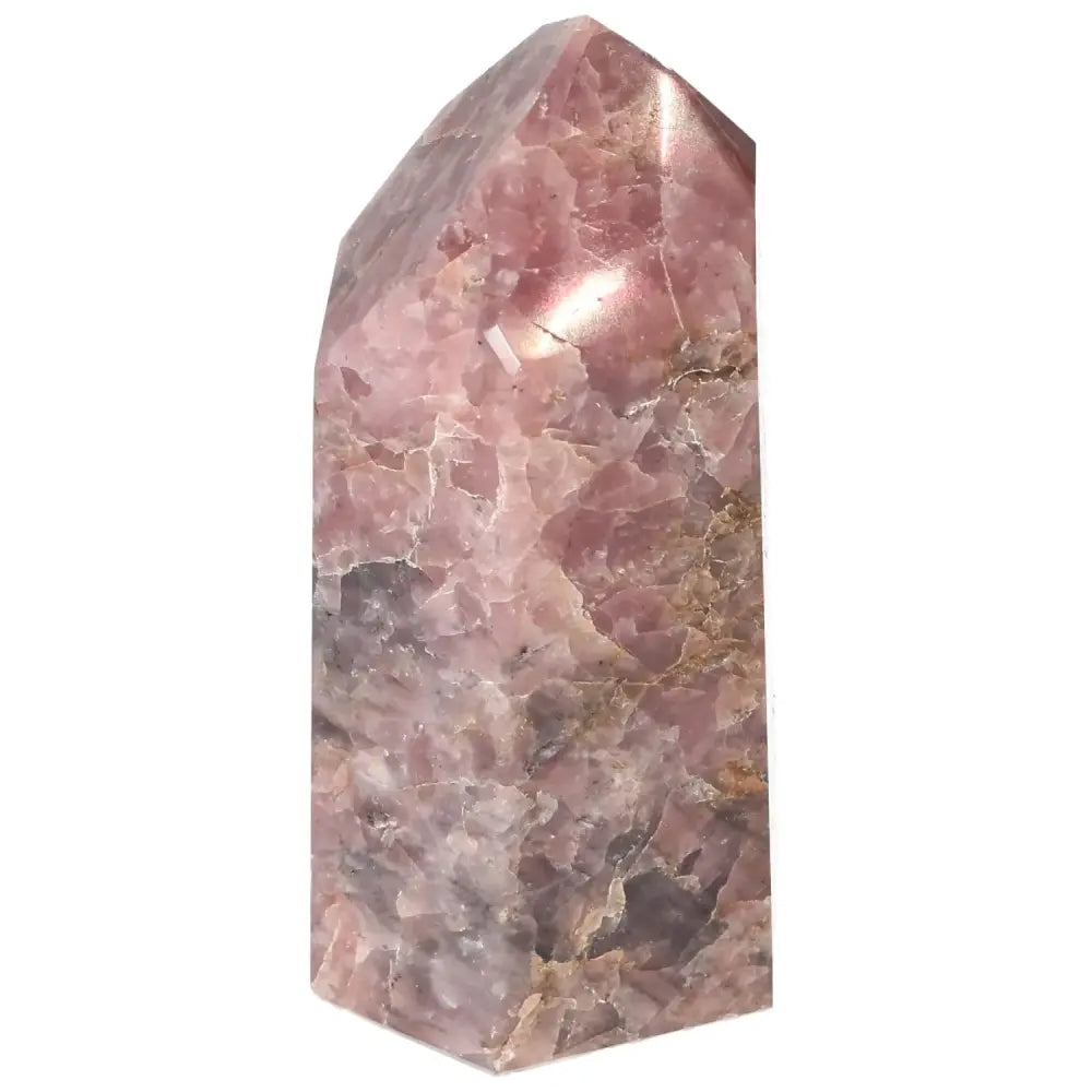 orbitvu|type:image2d