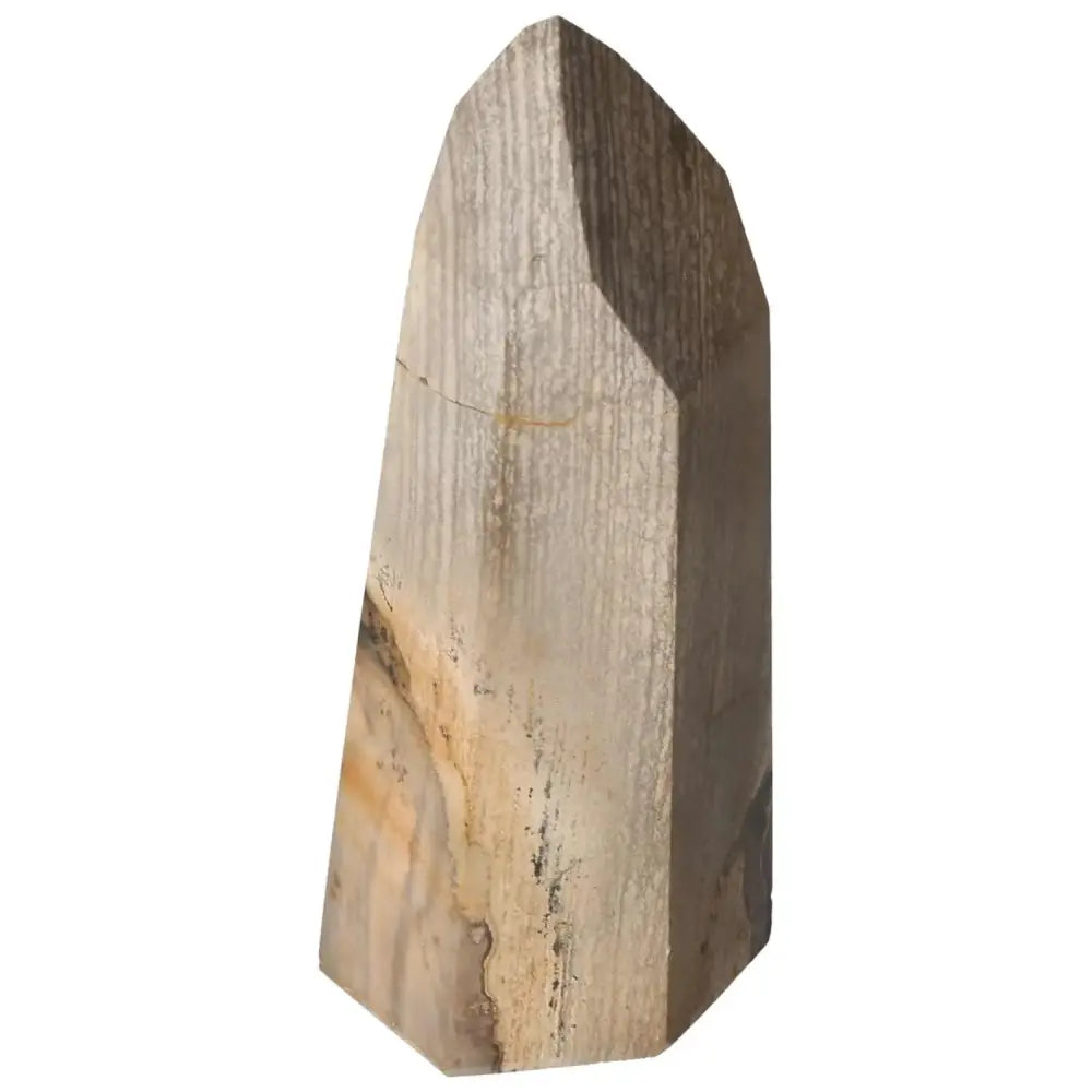 orbitvu|type:image2d