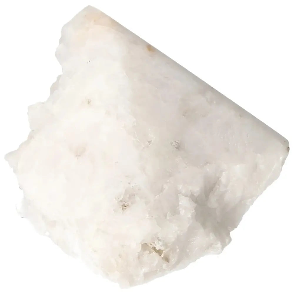 orbitvu|type:image2d