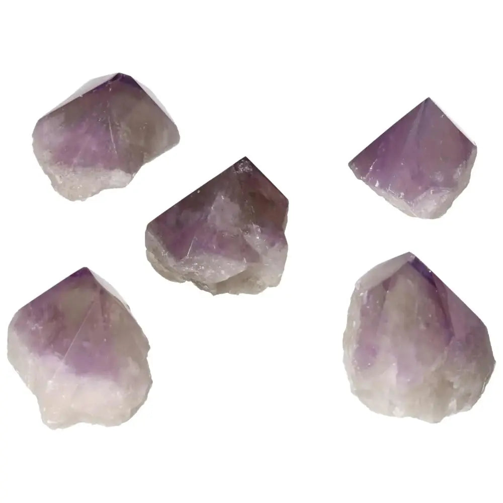 orbitvu|type:image2d