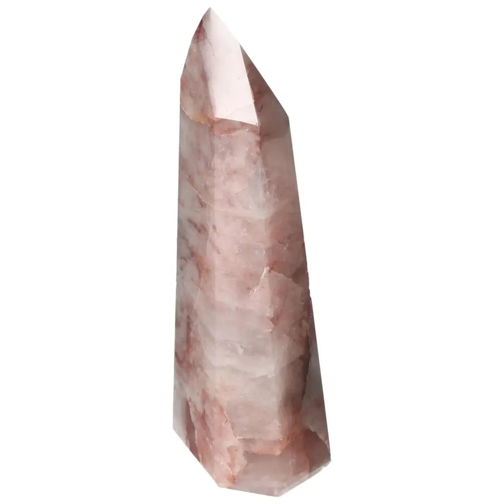 orbitvu|type:image2d