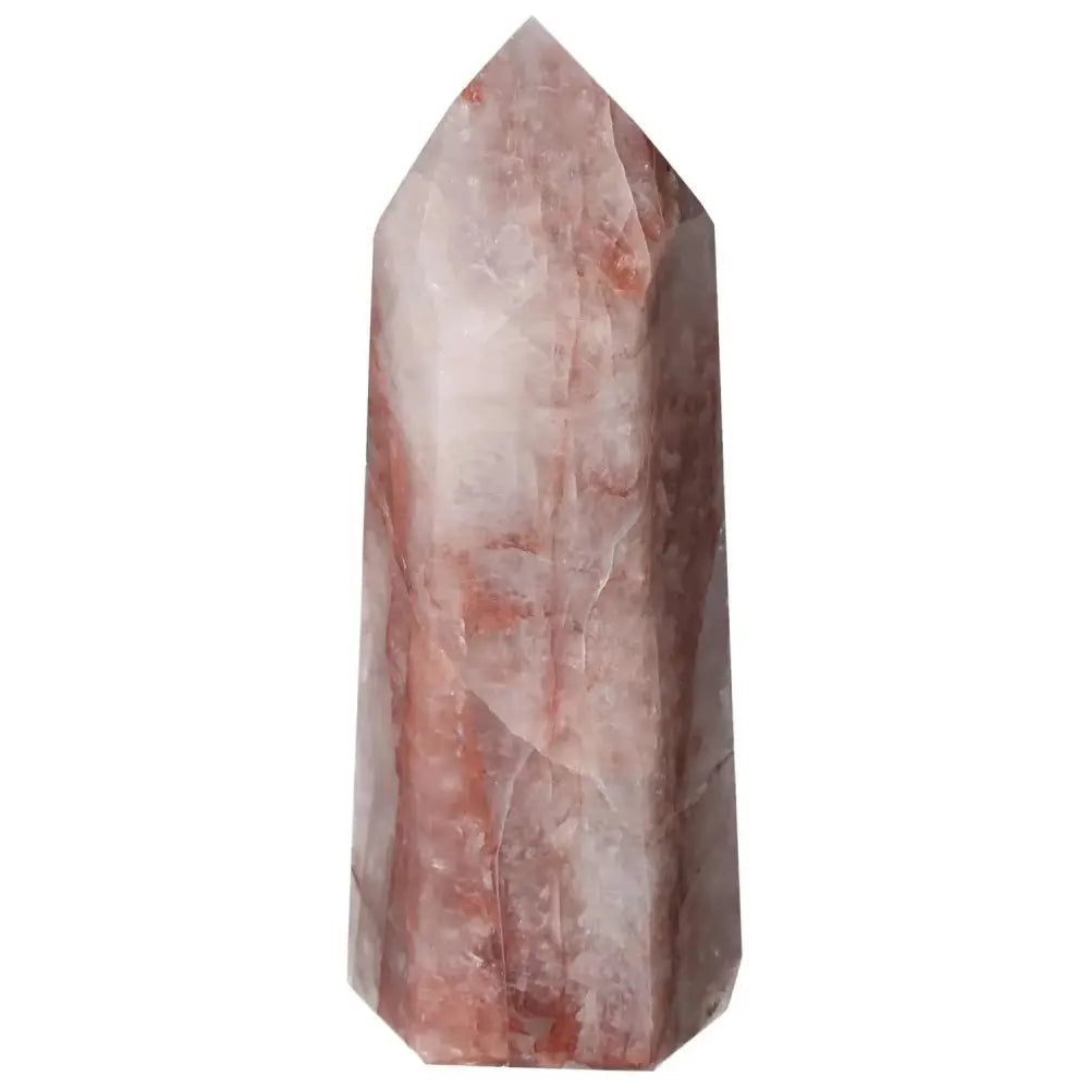 orbitvu|type:image2d