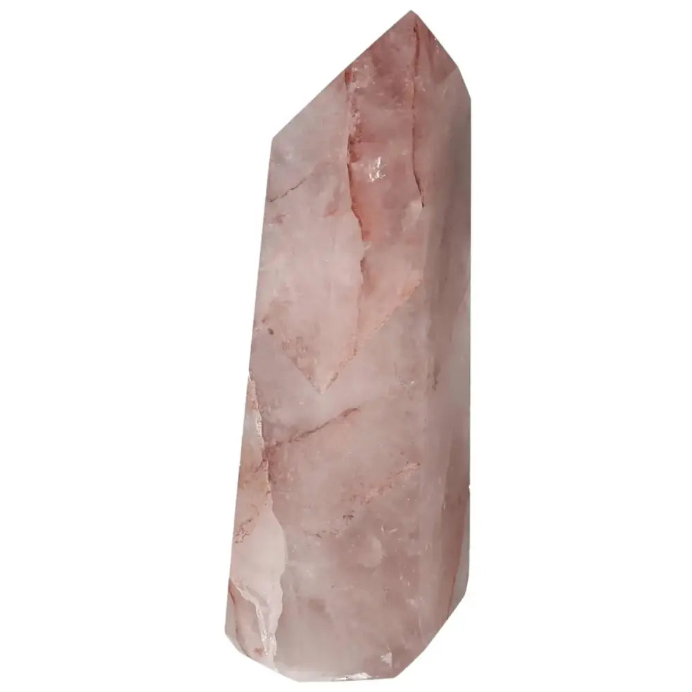 orbitvu|type:image2d