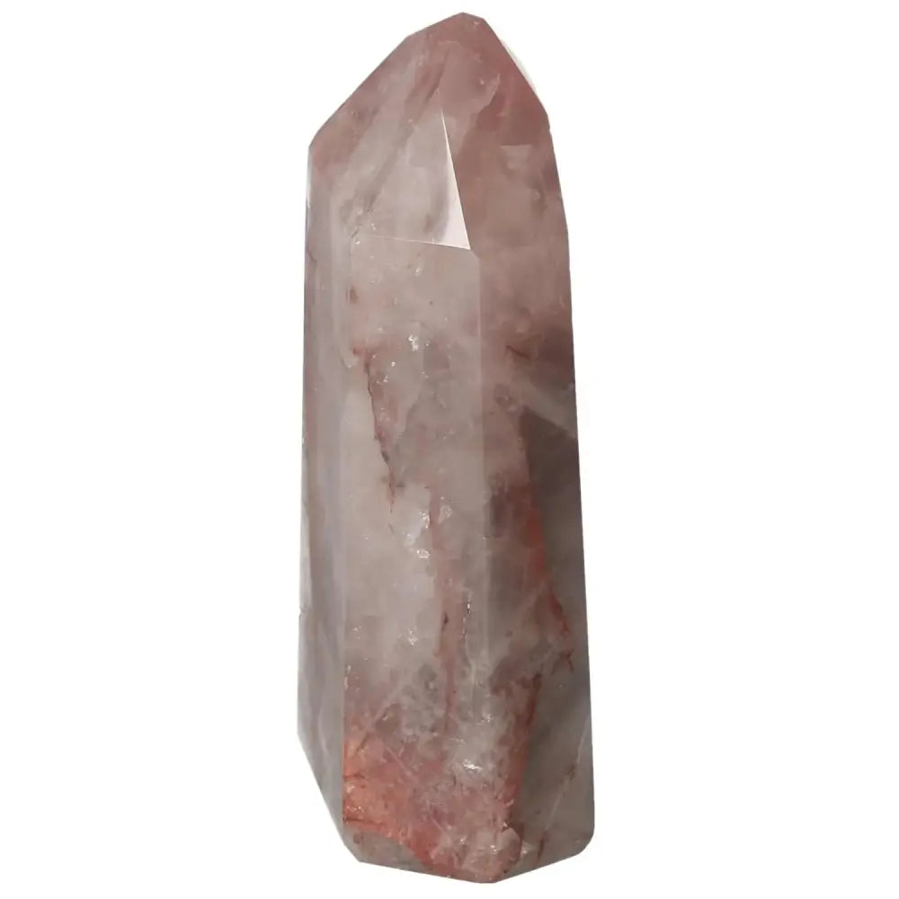 orbitvu|type:image2d