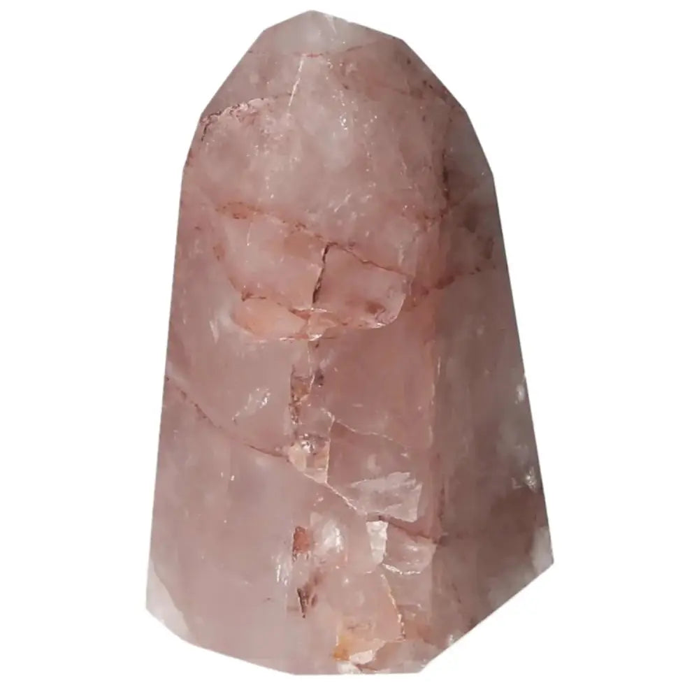 orbitvu|type:image2d