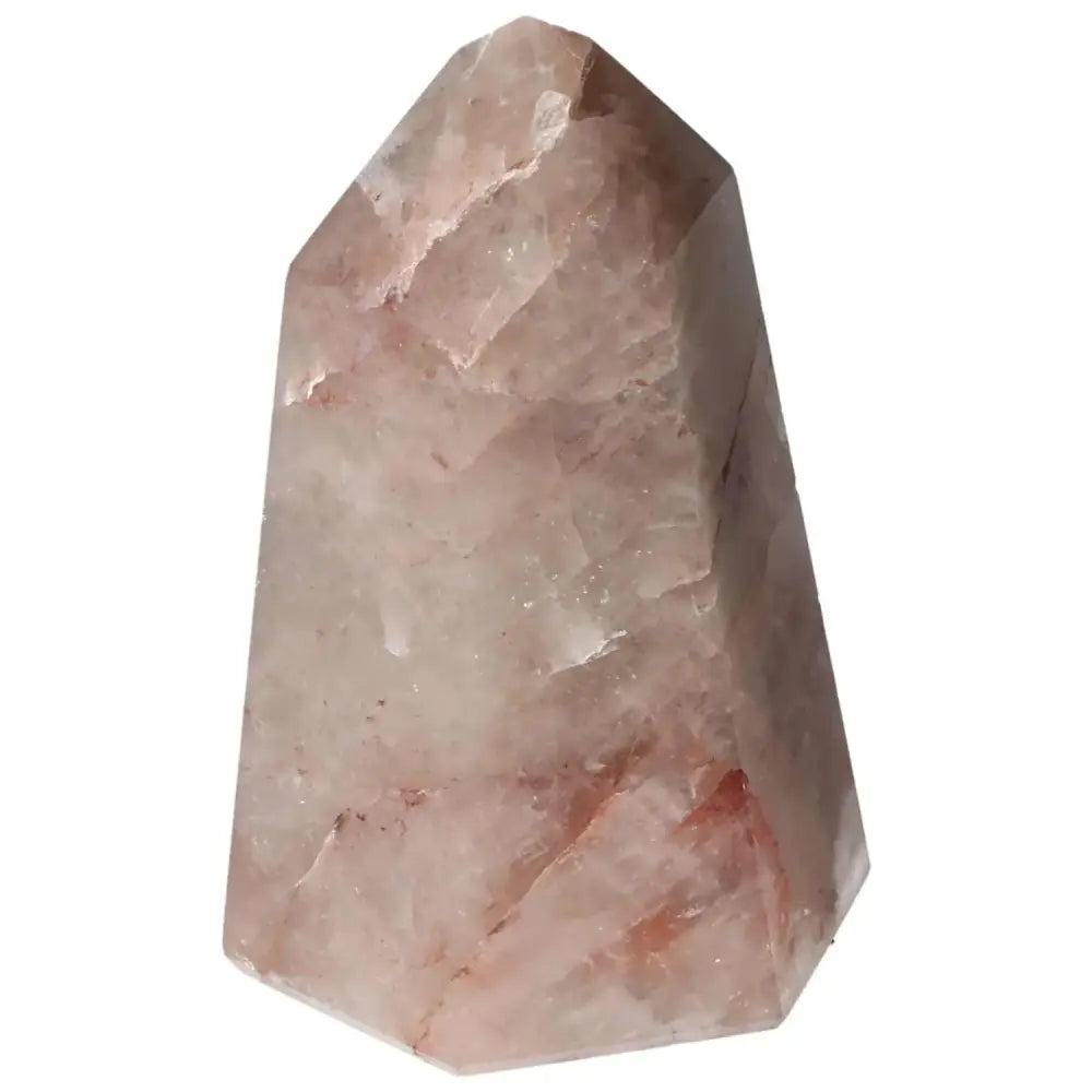 orbitvu|type:image2d