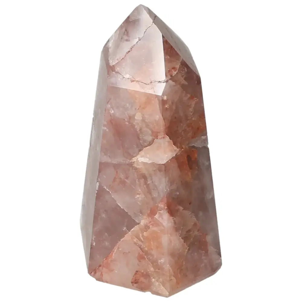 orbitvu|type:image2d