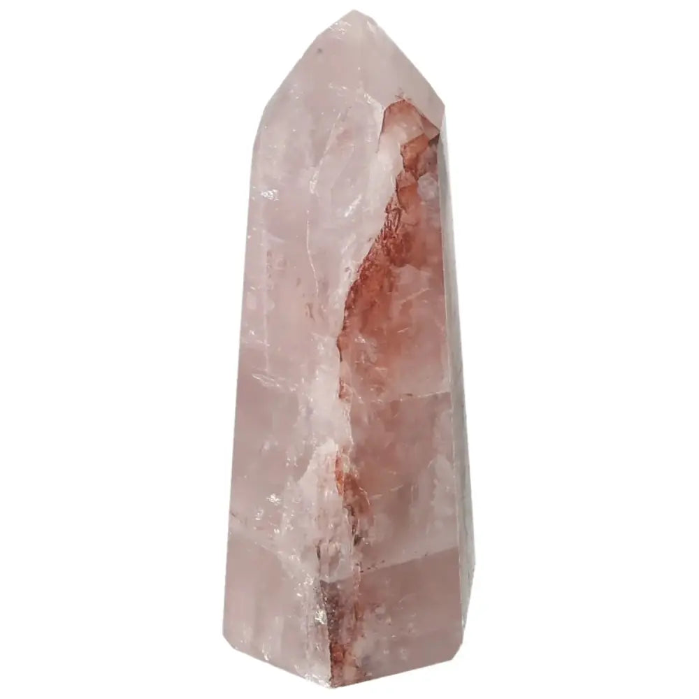 orbitvu|type:image2d