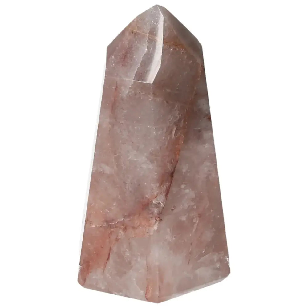 orbitvu|type:image2d