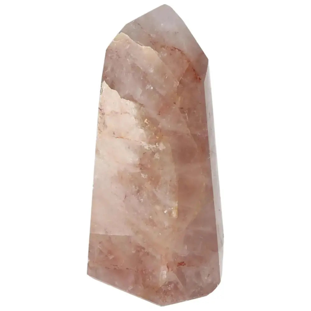 orbitvu|type:image2d