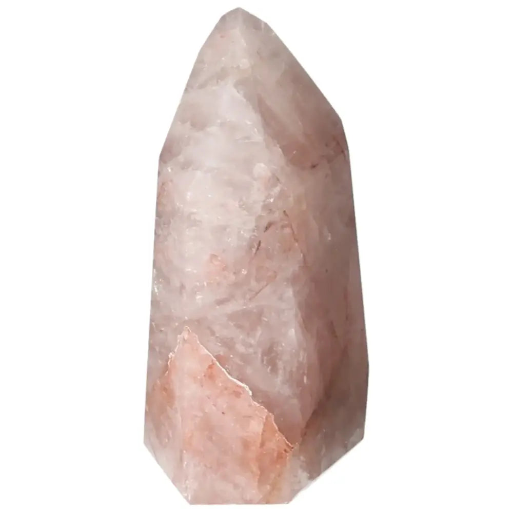 orbitvu|type:image2d