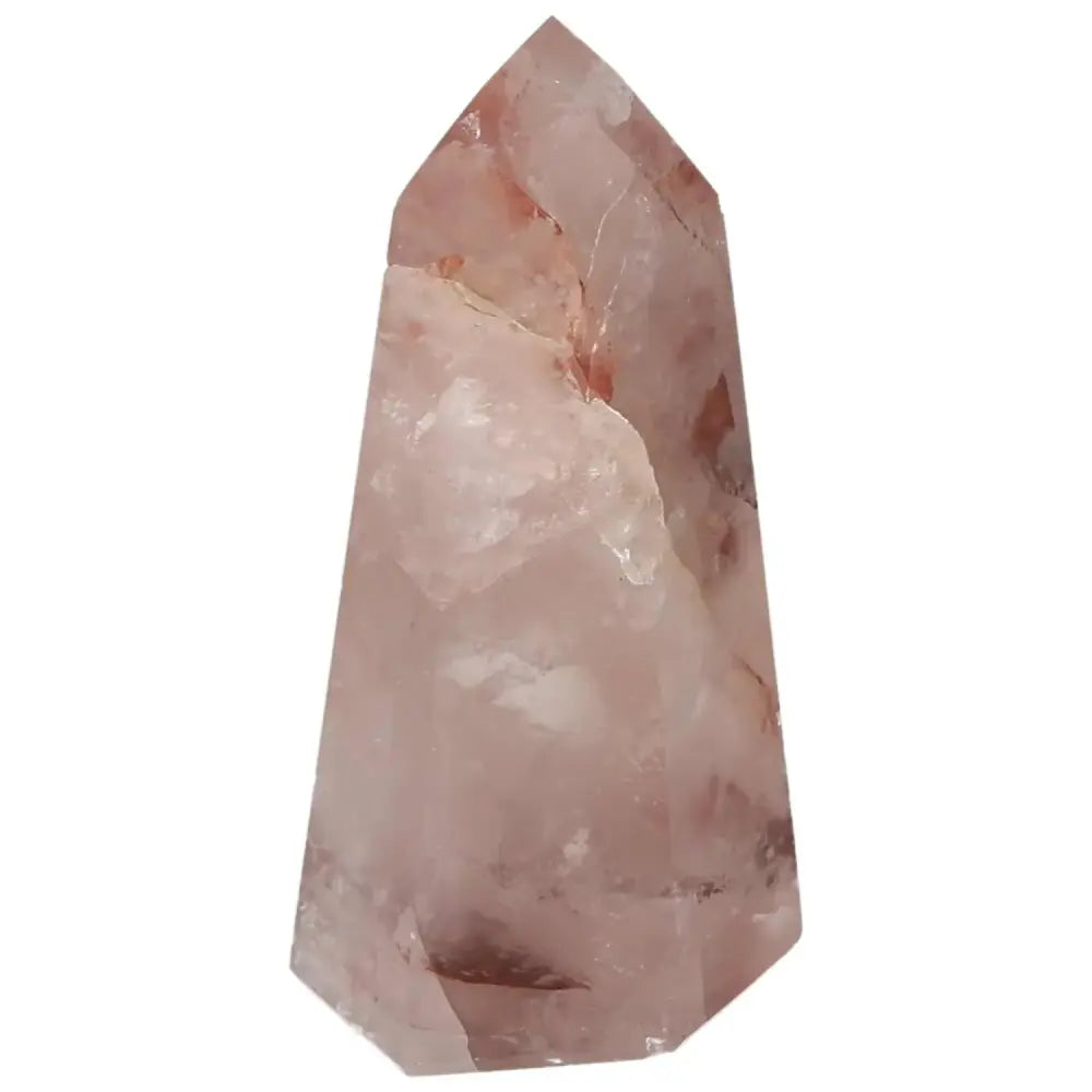 orbitvu|type:image2d