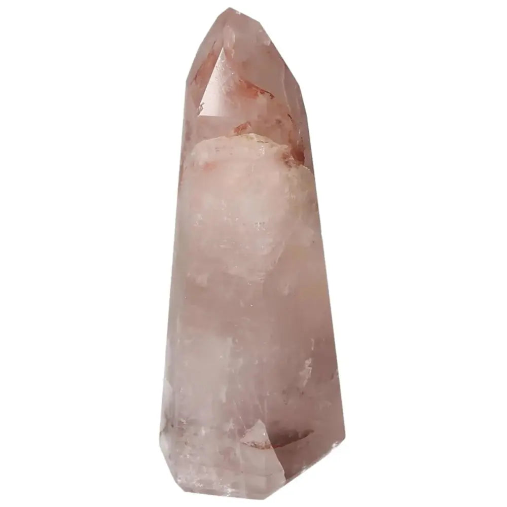 orbitvu|type:image2d