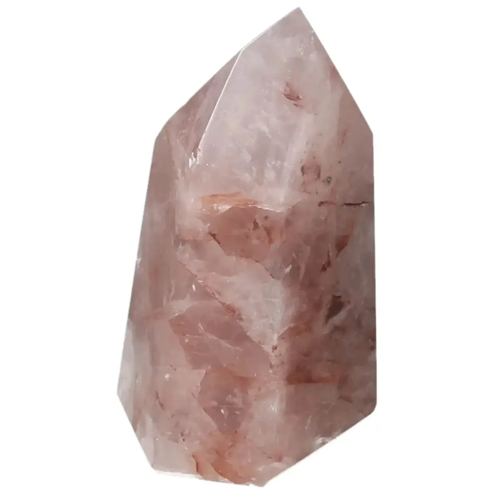 orbitvu|type:image2d