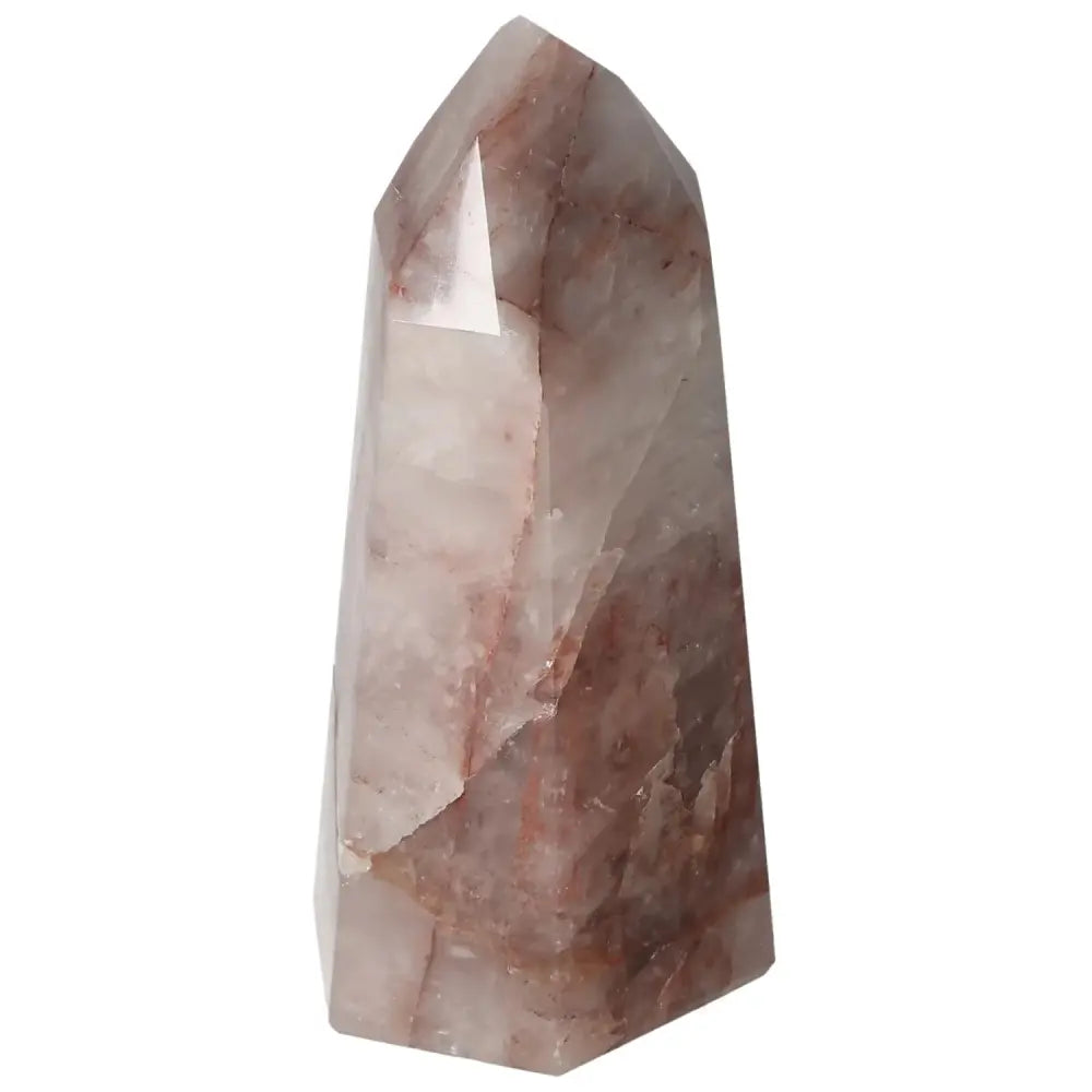 orbitvu|type:image2d