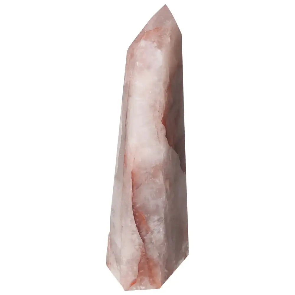 orbitvu|type:image2d