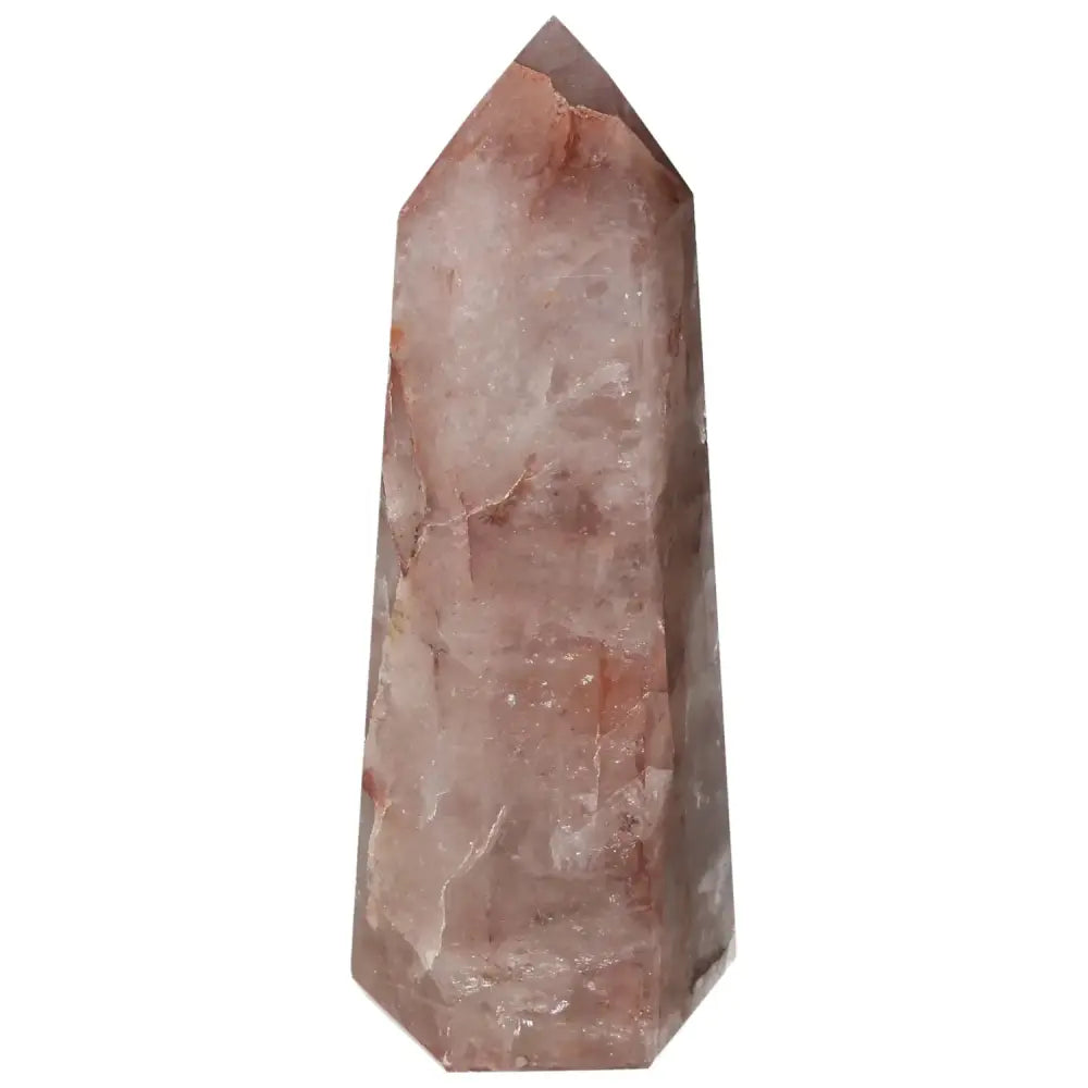 orbitvu|type:image2d