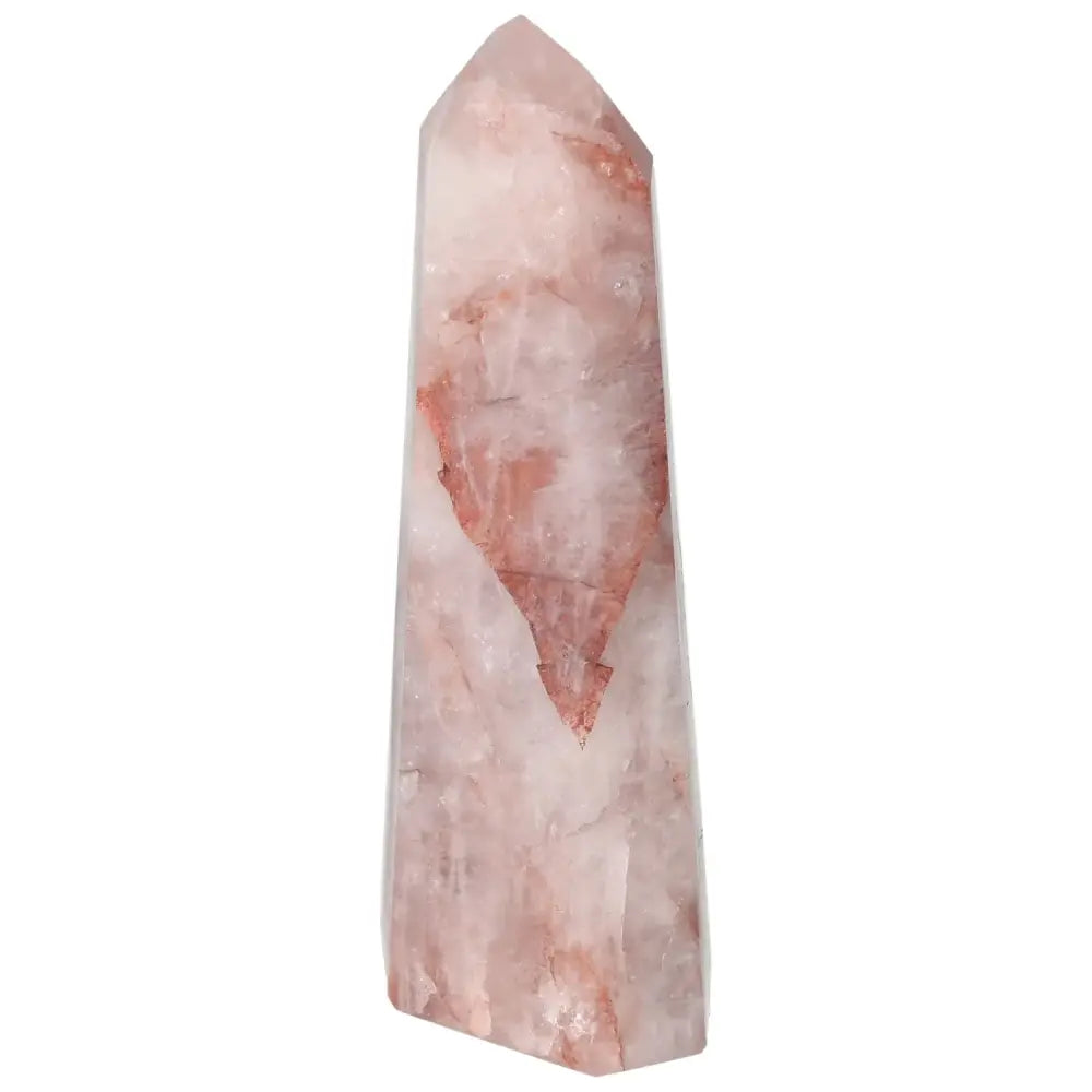 orbitvu|type:image2d