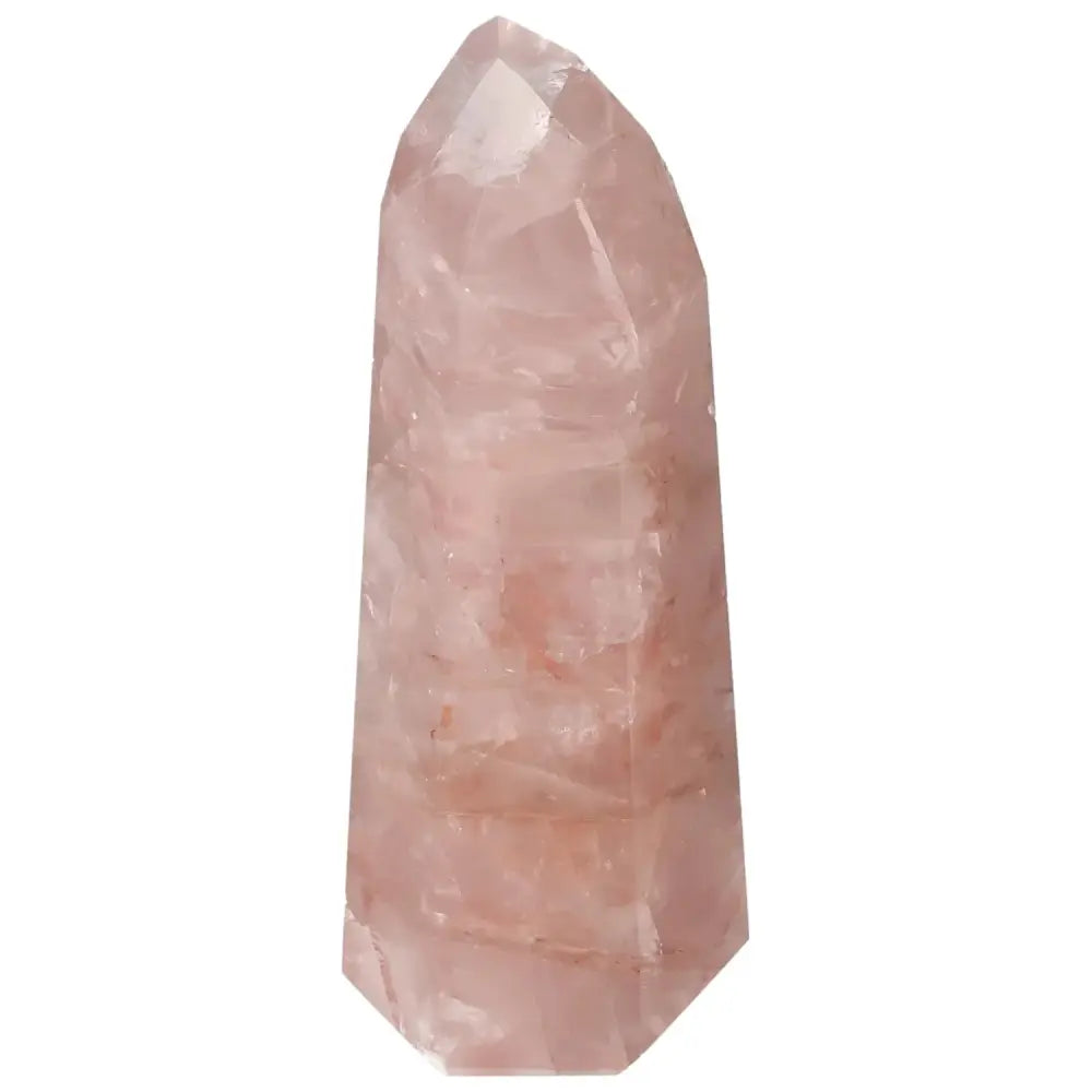 orbitvu|type:image2d