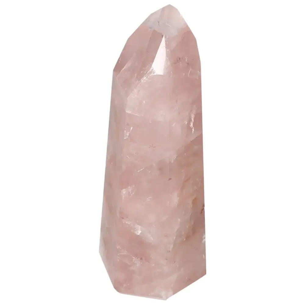 orbitvu|type:image2d