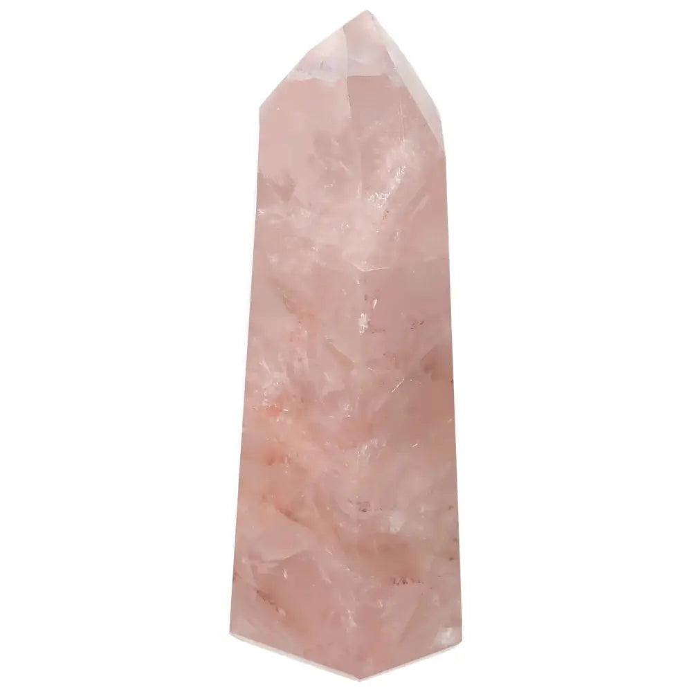 orbitvu|type:image2d