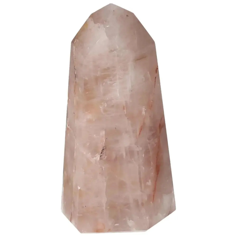 orbitvu|type:image2d