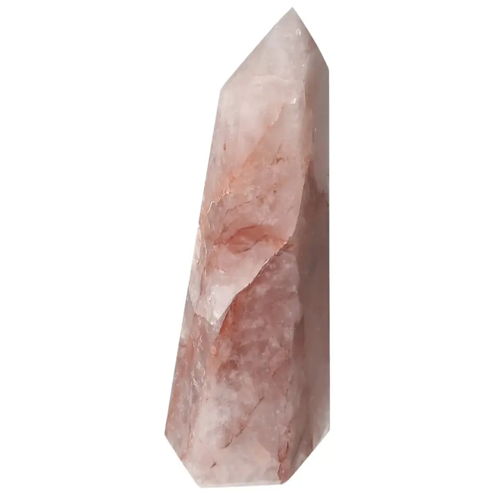 orbitvu|type:image2d