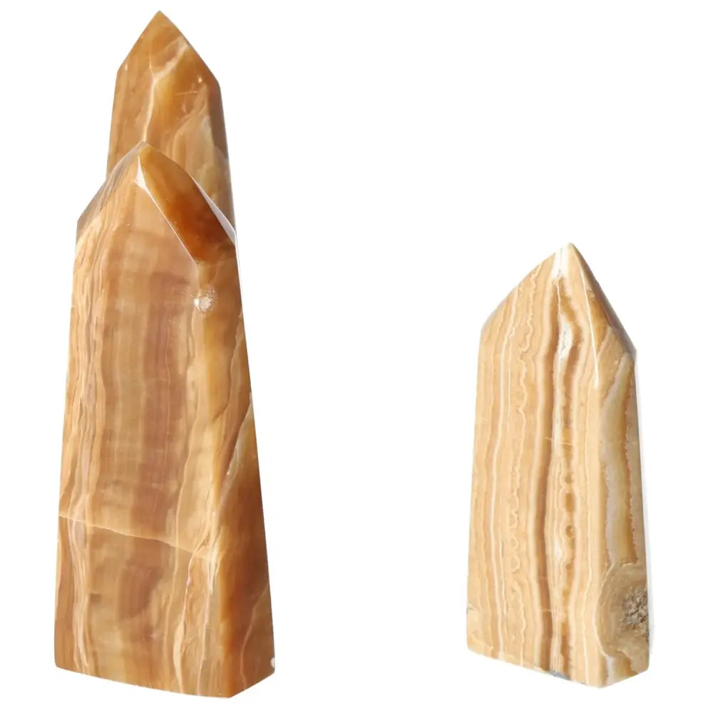 orbitvu|type:image2d