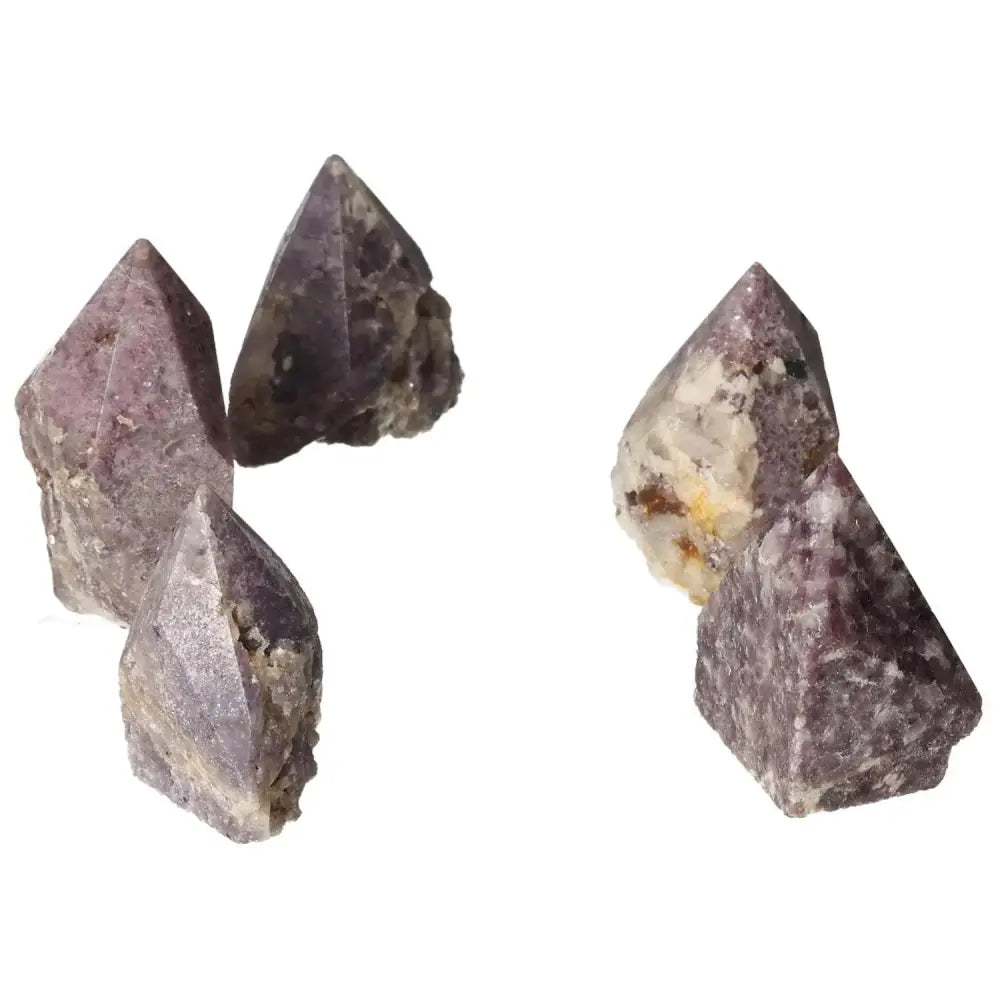 orbitvu|type:image2d