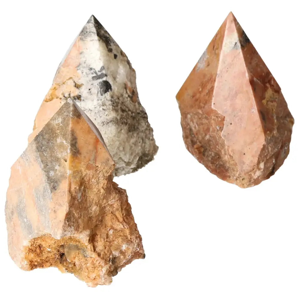 orbitvu|type:image2d