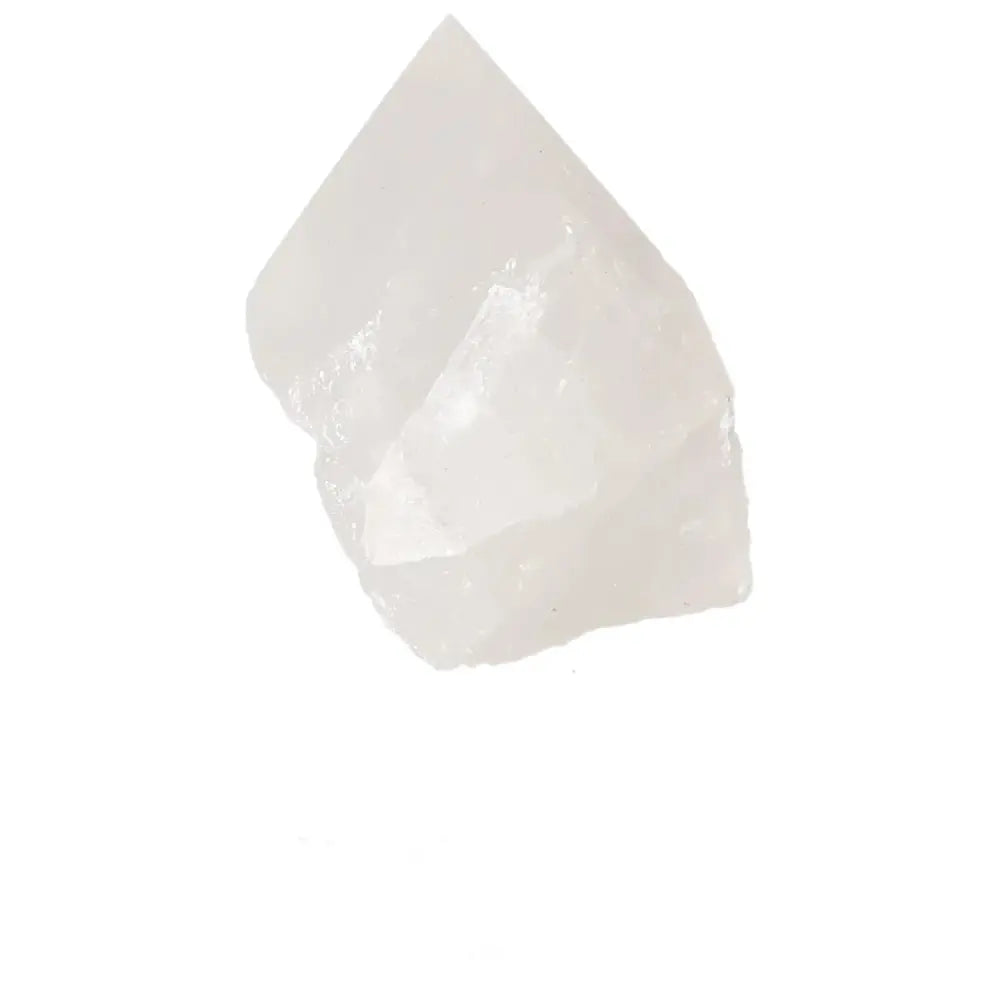 orbitvu|type:image2d