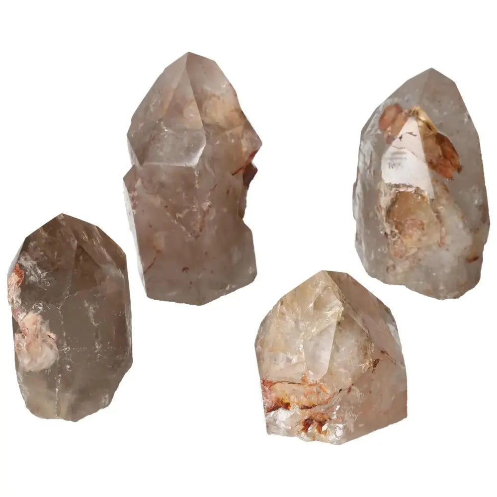 orbitvu|type:image2d