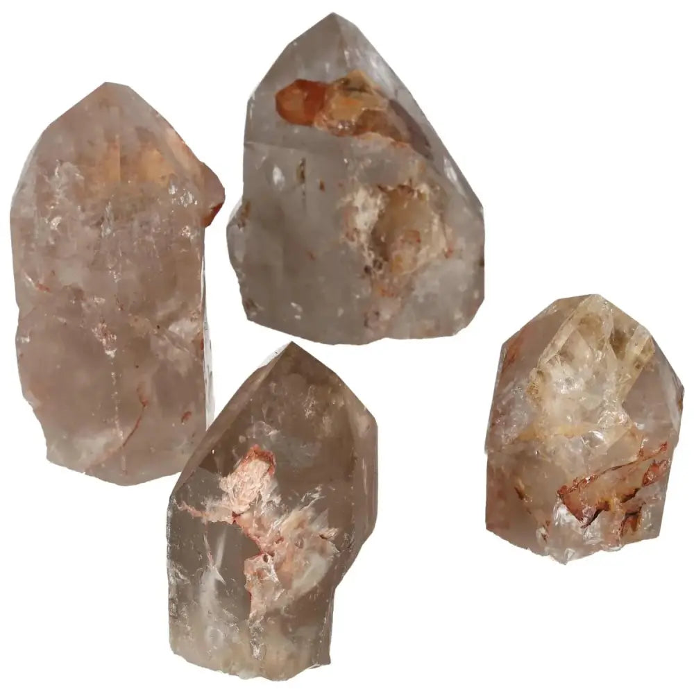 orbitvu|type:image2d