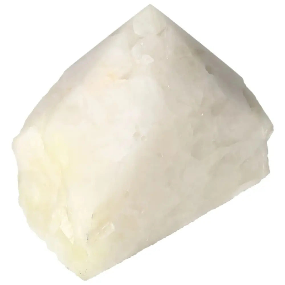 orbitvu|type:image2d