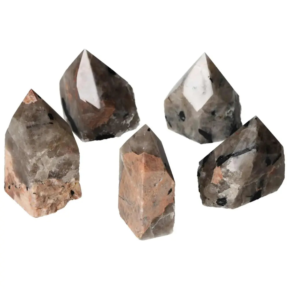 orbitvu|type:image2d