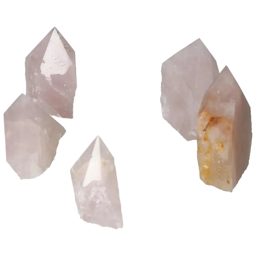 Premium Polished Point Rose Quartz L crystals from Sylvia Crystals, exuding luxury and spiritual tranquility for elegant living.