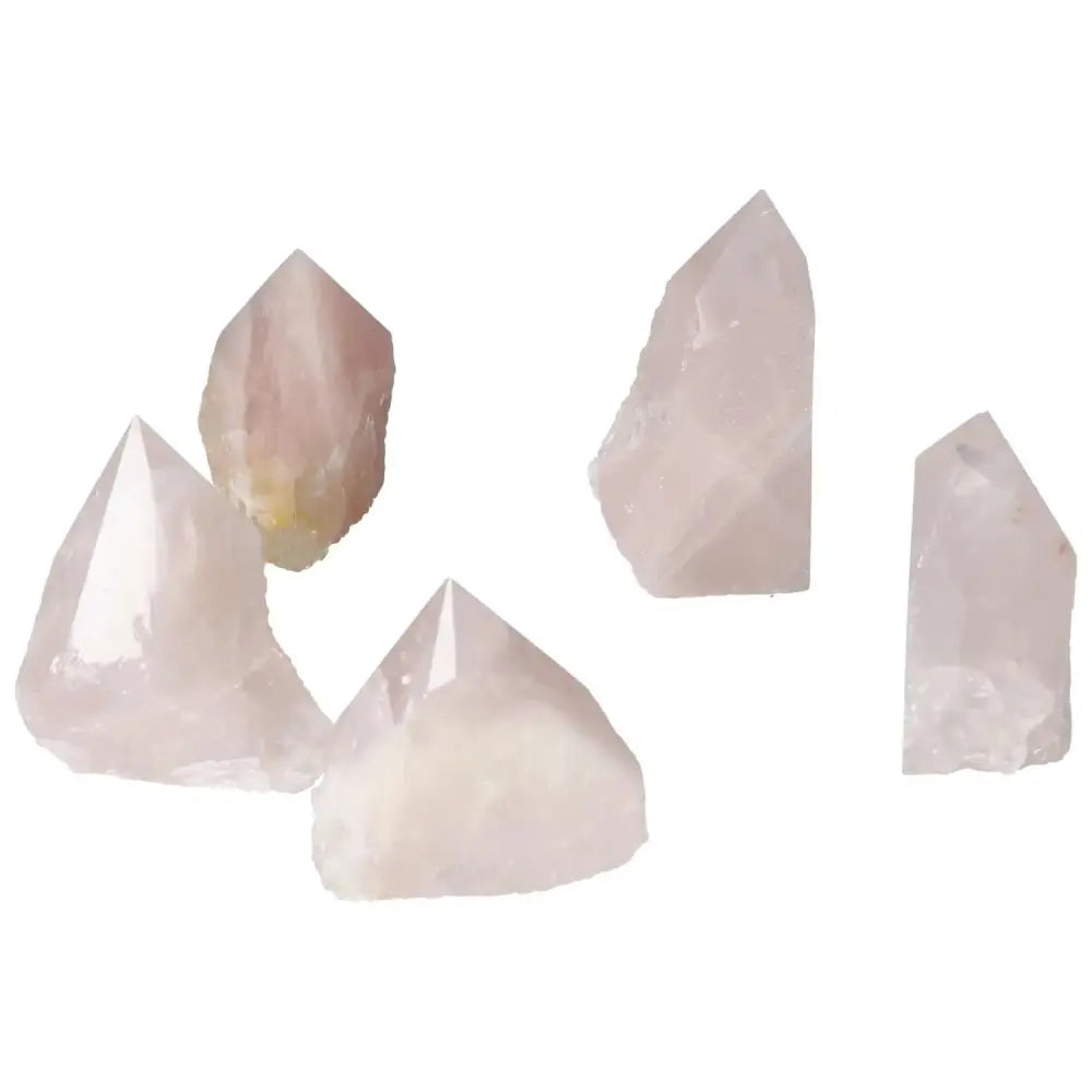 Polished Point Rose Quartz M crystals by Sylvia Crystals, embodying luxury and spiritual elegance with calming love energy.