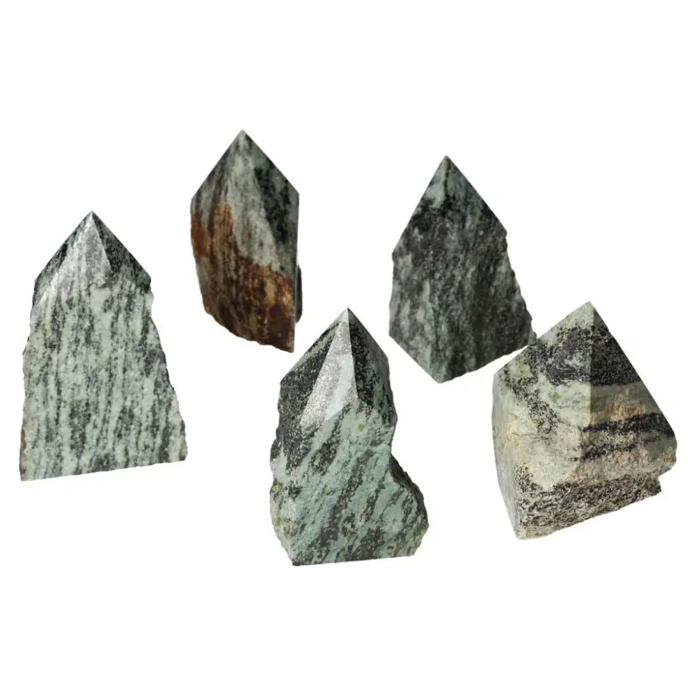 Polished Point Snake Jasper L crystals showcasing unique patterns and premium quality from Sylvia Crystals collection.