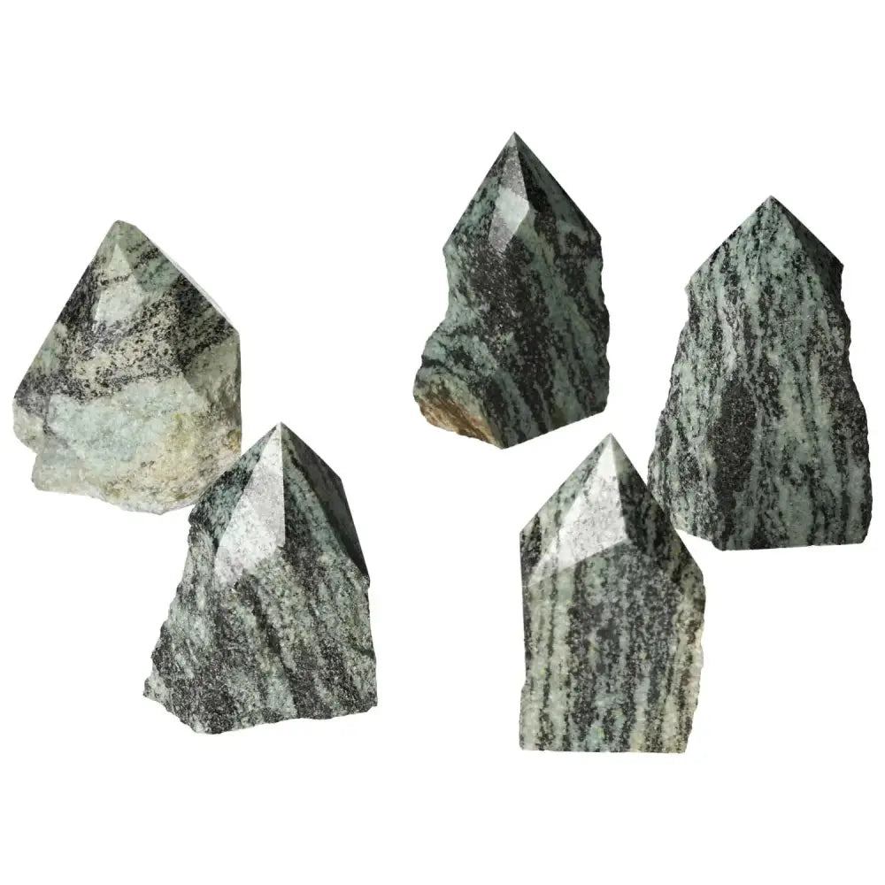 Five polished Snake Jasper crystals showcasing unique patterns and luxury by Sylvia Crystals, ideal for spiritual transformation.