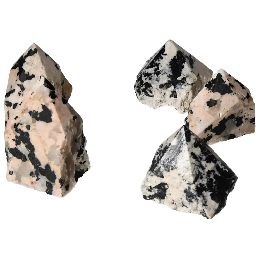 Polished Point Tourmaline with Feldspar M crystals showcasing elegant black and white patterns, enhancing luxury and energy balance.