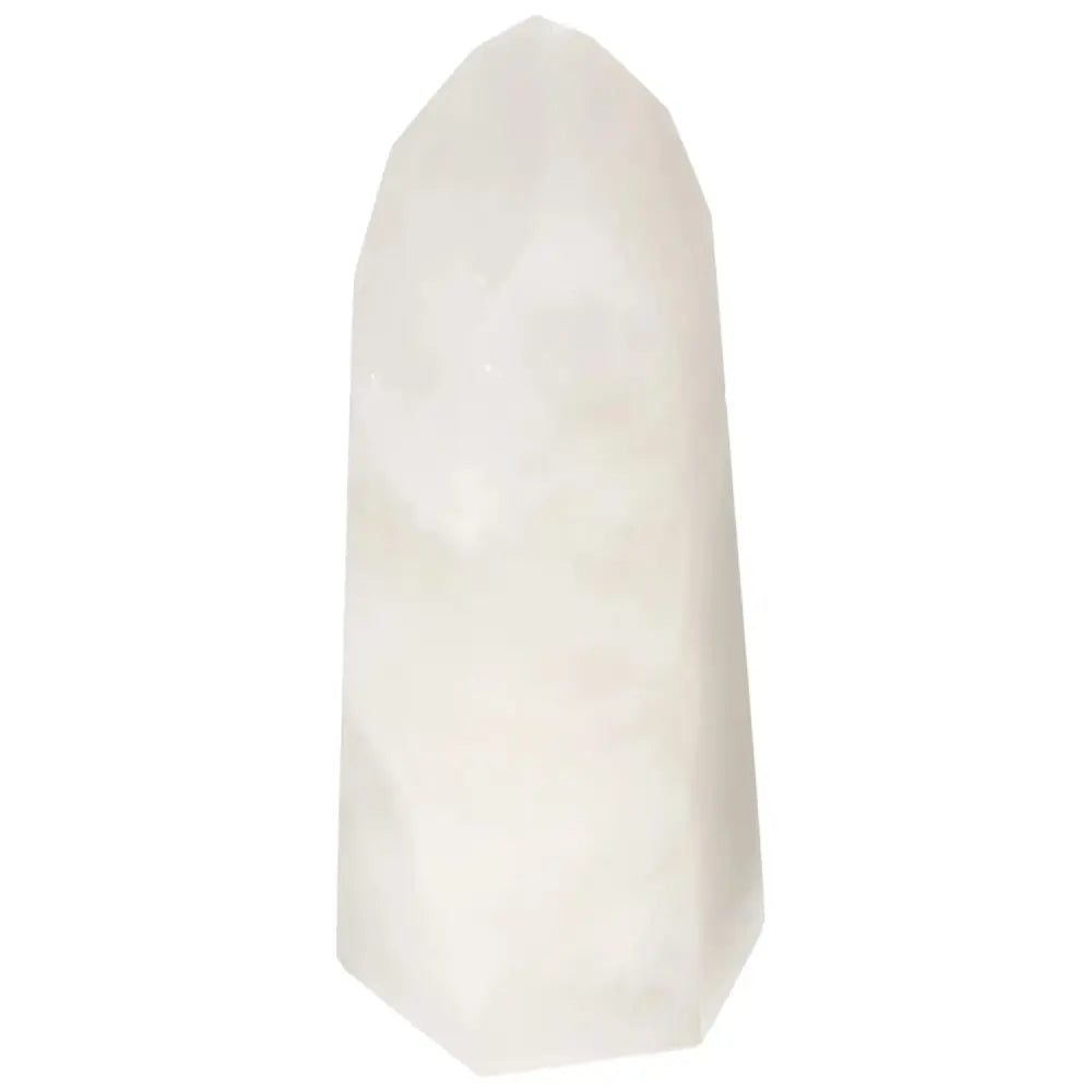 orbitvu|type:image2d