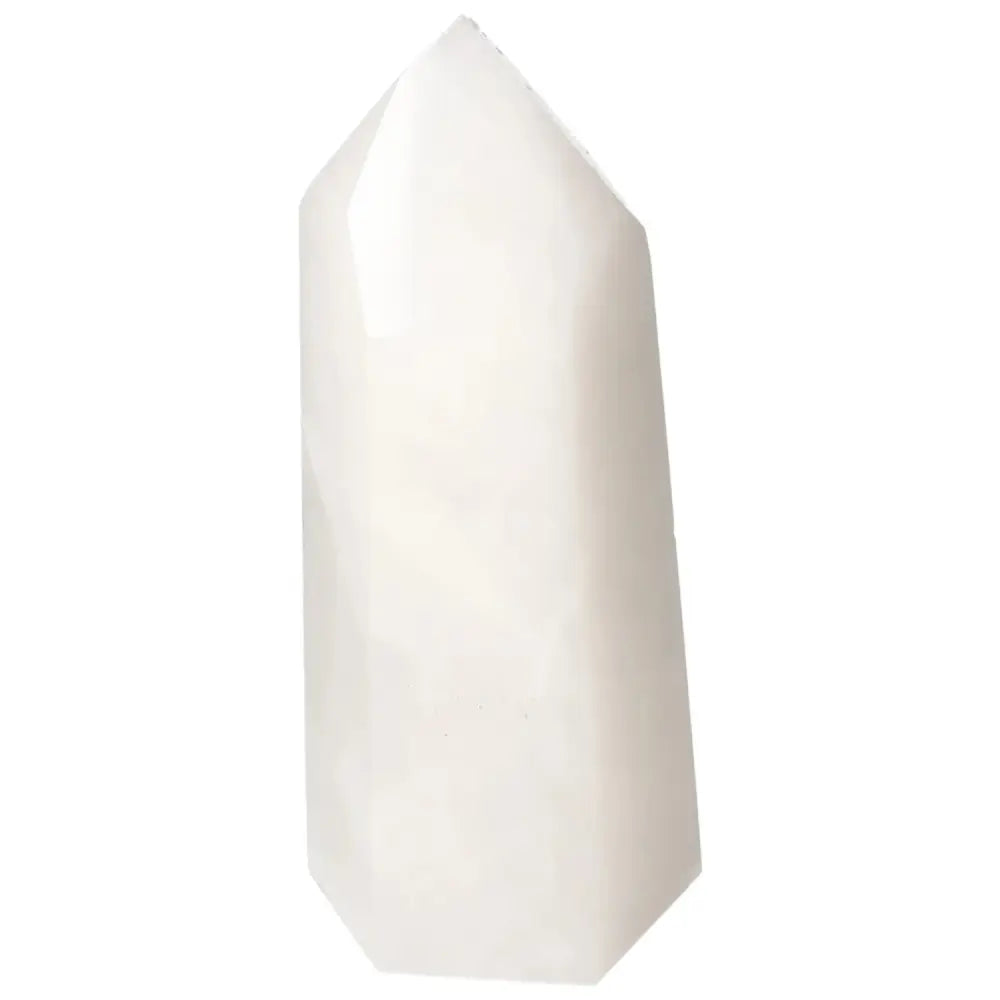 orbitvu|type:image2d