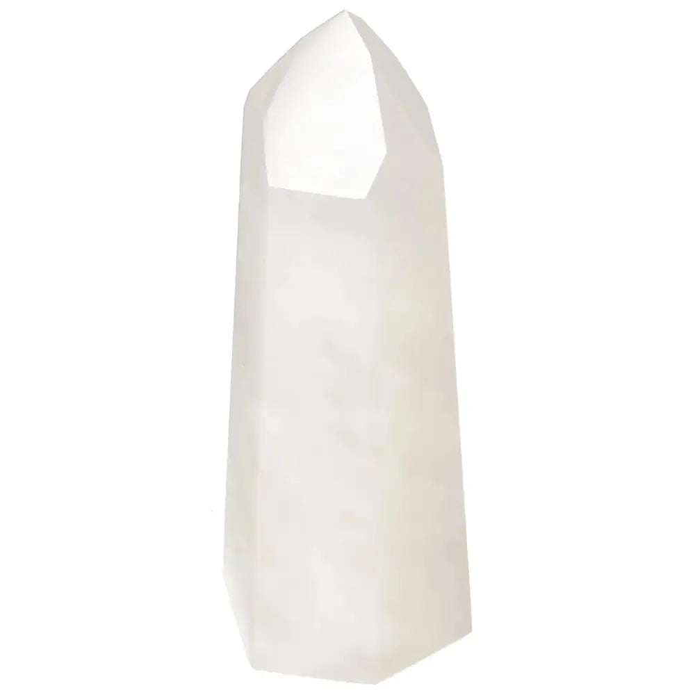 orbitvu|type:image2d