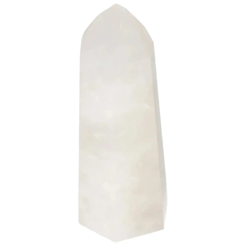 orbitvu|type:image2d