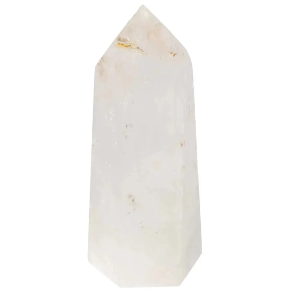 orbitvu|type:image2d