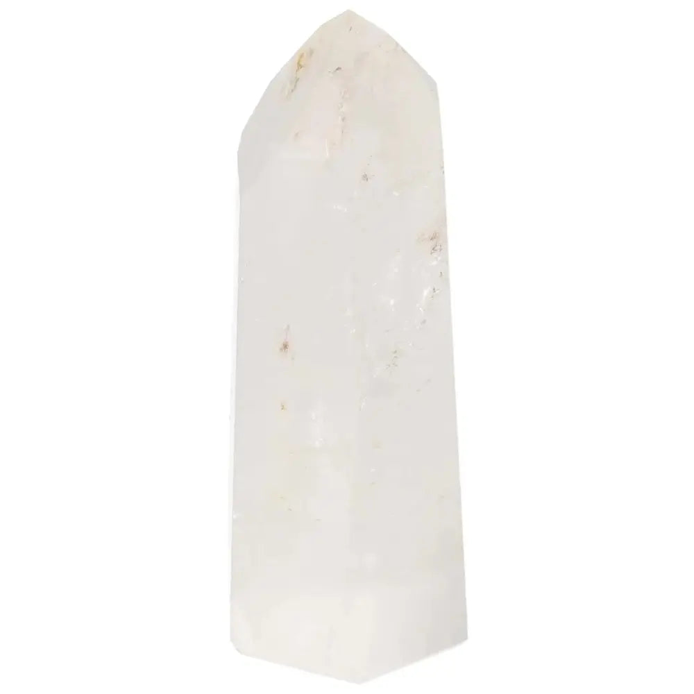 orbitvu|type:image2d